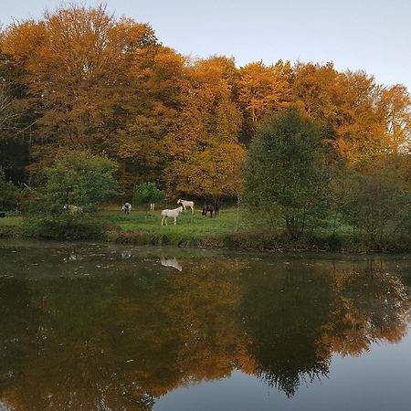 Le Jardin De Saint Jean Bed and Breakfast Buitenkant foto