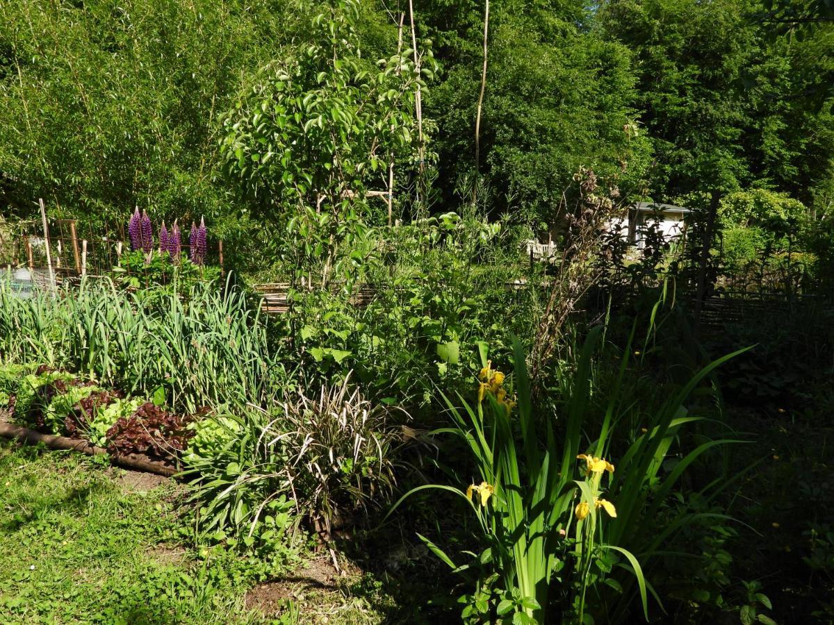 Le Jardin De Saint Jean Bed and Breakfast Buitenkant foto