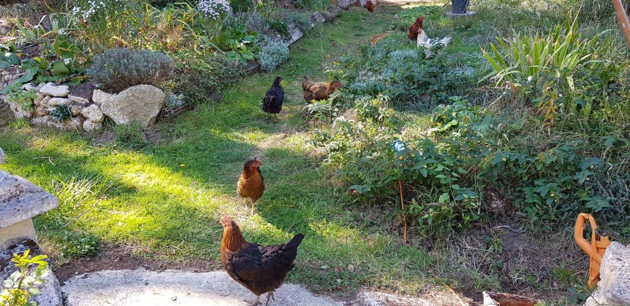 Le Jardin De Saint Jean Bed and Breakfast Buitenkant foto