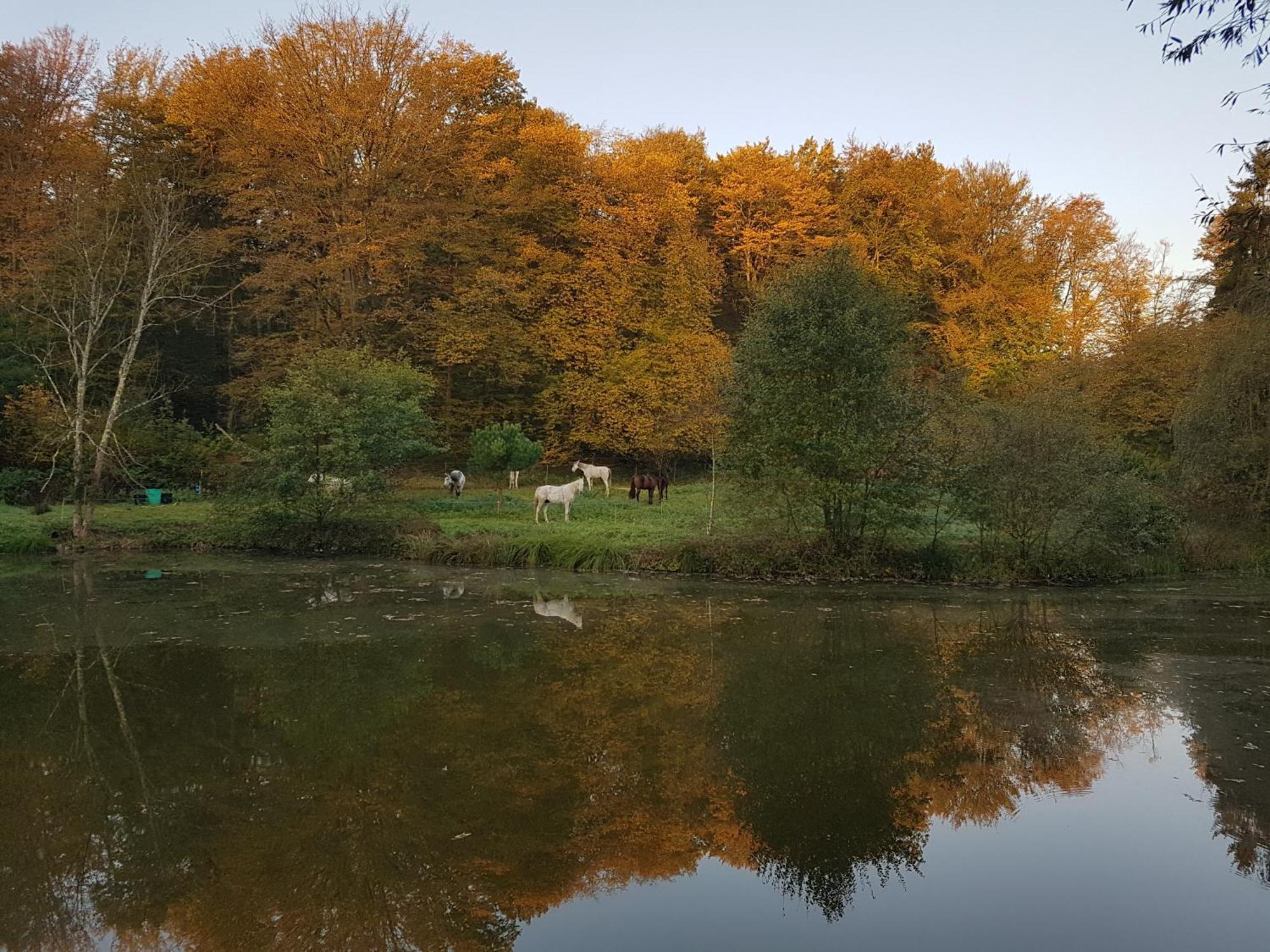 Le Jardin De Saint Jean Bed and Breakfast Buitenkant foto