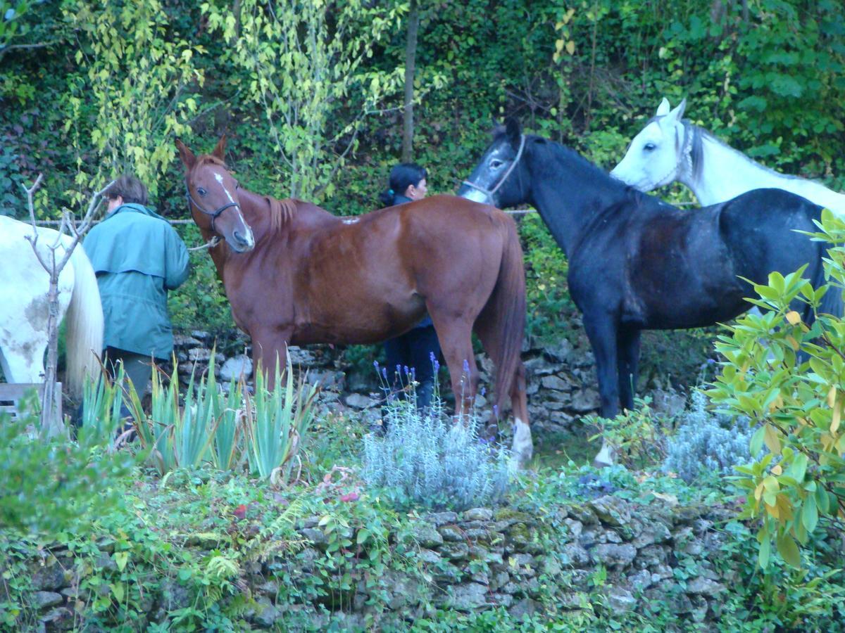 Le Jardin De Saint Jean Bed and Breakfast Buitenkant foto